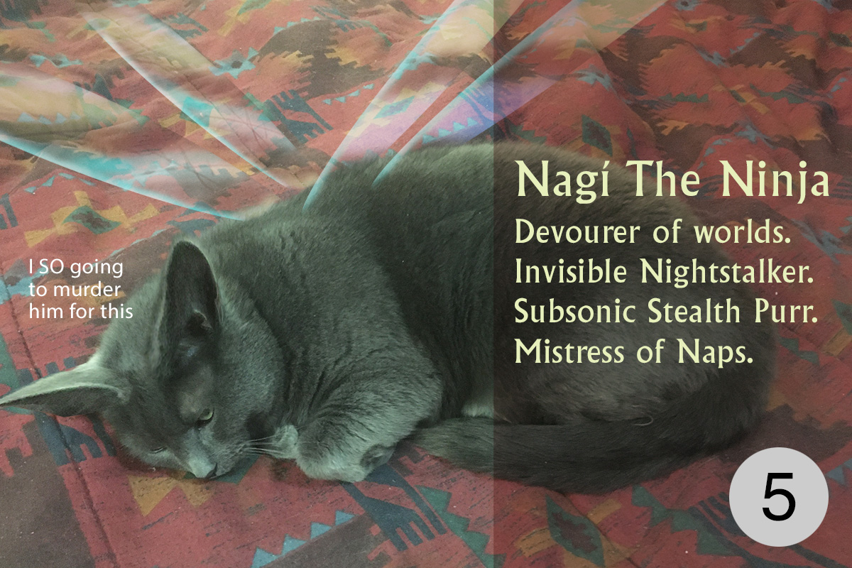  Contestant #5 Nagi the Ninja