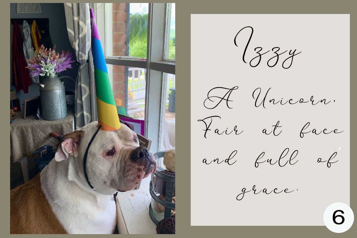  Contestant #6 Izzu the Unicorn