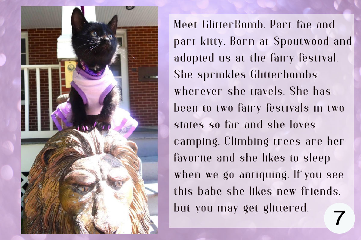  Contestant #7 Glitter Bomb
