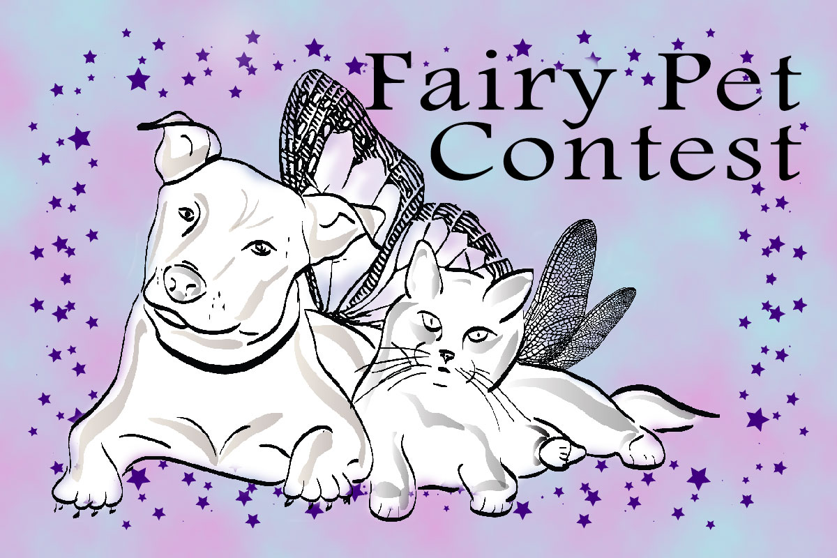 Fairy Pet Contest